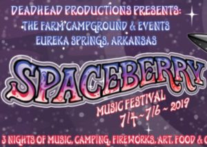 Read more about the article Spaceberry Music Festival 2019