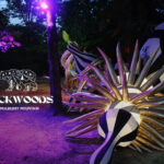 Event Info: Backwoods Music Festival 2023