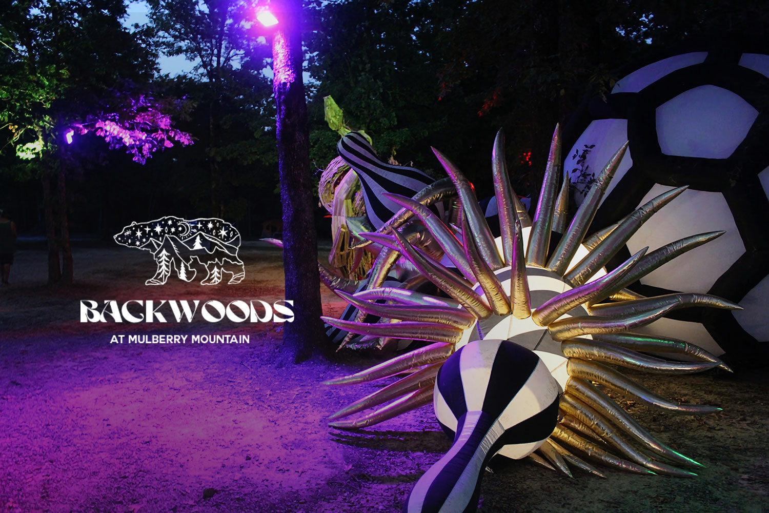 Read more about the article Event Info: Backwoods Music Festival 2023