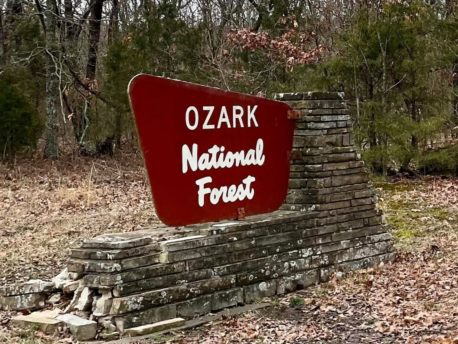 Read more about the article Ozark National Forest: A Nature Lover’s Paradise