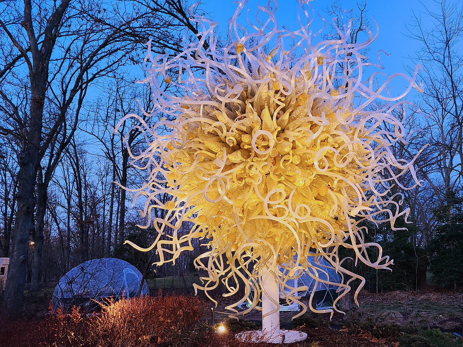 Crystal Bridges Museum of American Art: A Comprehensive Guide for Visitors